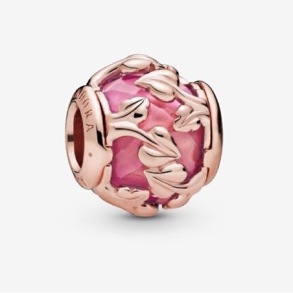 Pandora Rose Gold Fall Bracelet - Picture 8 of 8